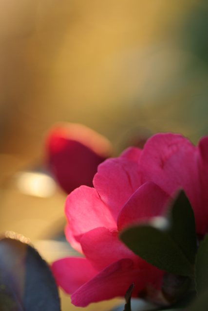 c0163369_7203179.jpg