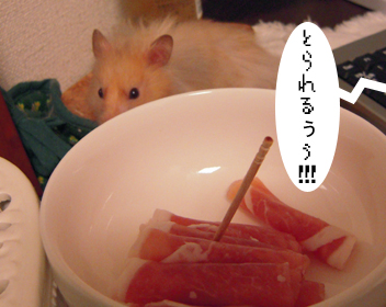 c0160473_11445064.jpg
