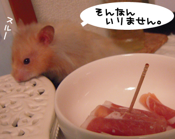 c0160473_11451531.jpg