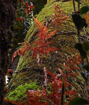 f0089079_4111947.jpg