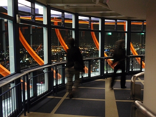 c0105785_8442086.jpg