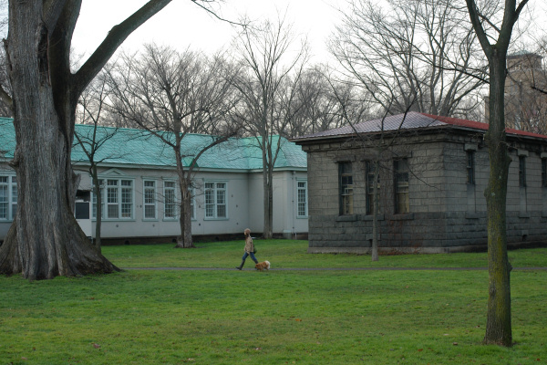e0051186_2235937.jpg