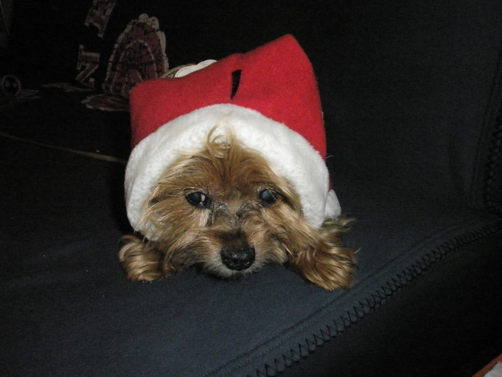 f0024887_6174925.jpg