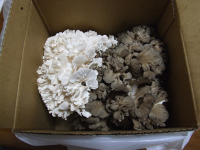 f0104487_2216753.jpg