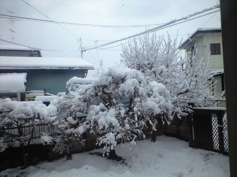 b0124693_9495994.jpg