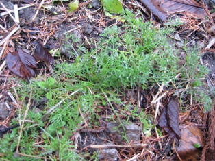 c0099395_9104954.jpg