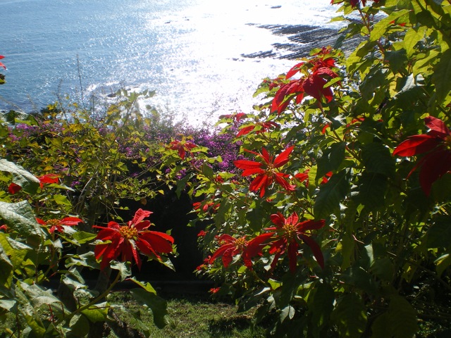 a0023500_2128525.jpg