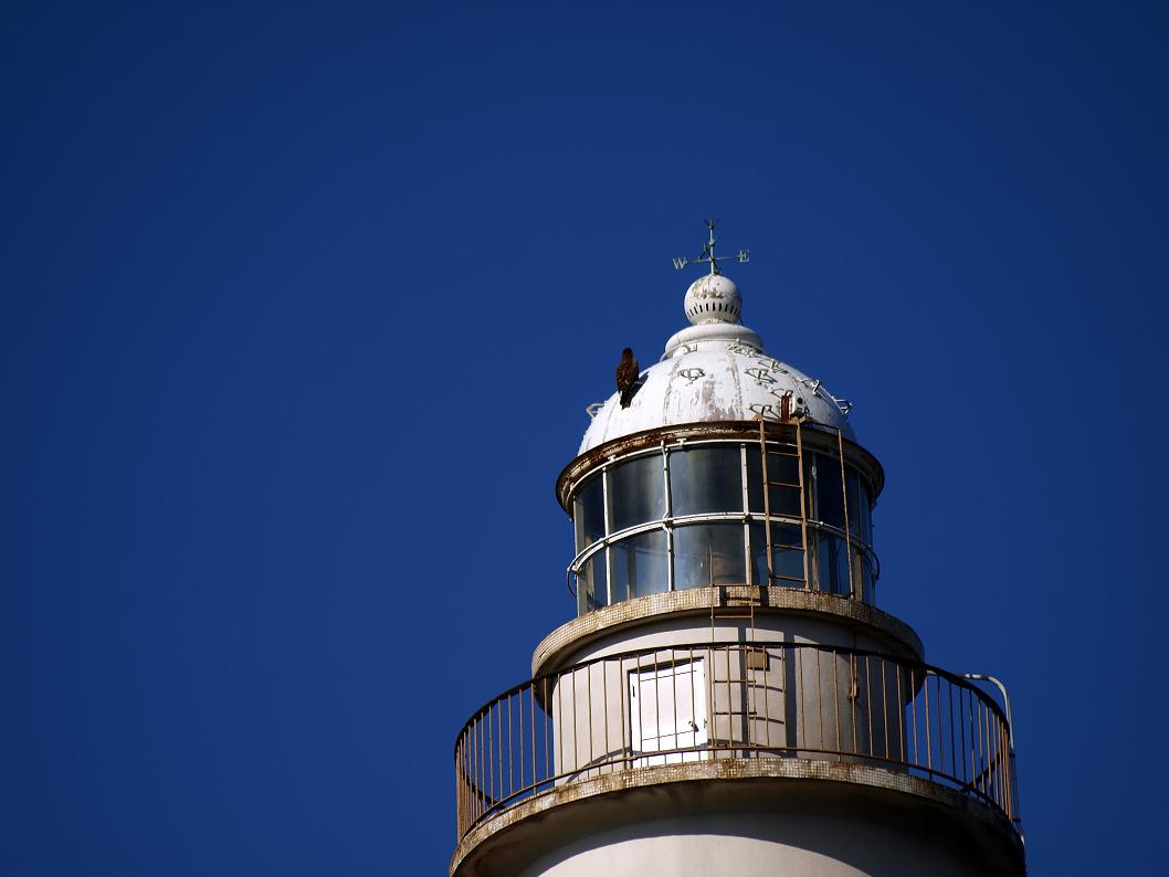 b0138101_801788.jpg