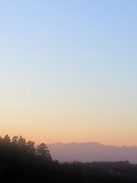 b0083902_18533918.jpg