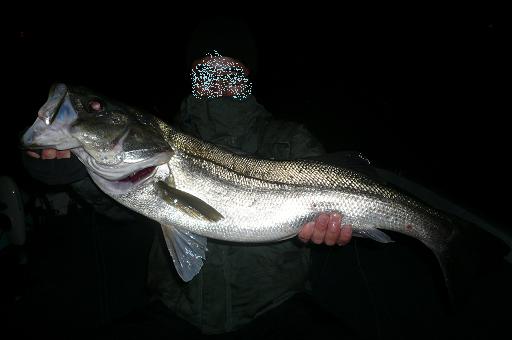 e0123808_17261642.jpg