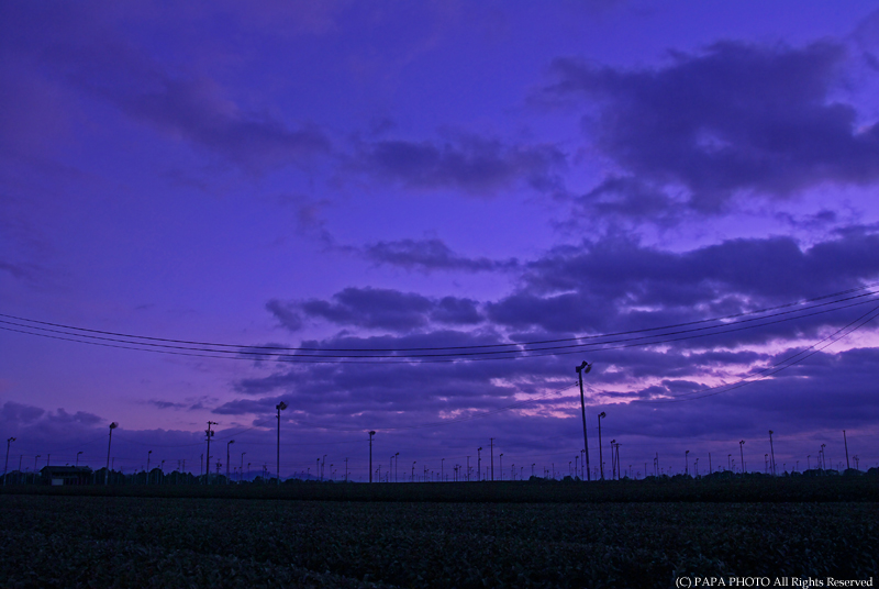 f0041908_23391936.jpg