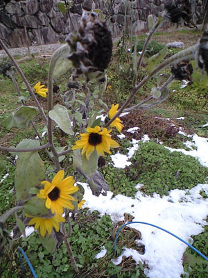 f0135908_15221022.jpg