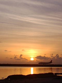 c0000816_19144843.jpg