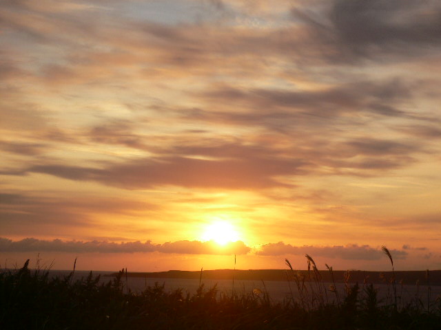 c0000816_19331398.jpg