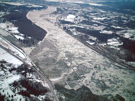 c0018716_910466.jpg