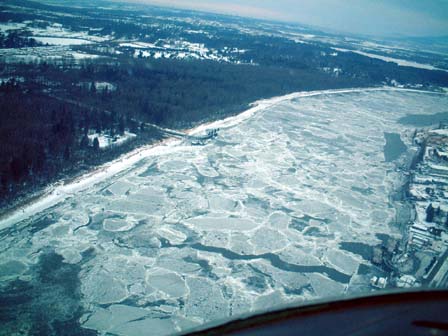 c0018716_911490.jpg