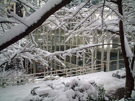 c0018716_9172866.jpg
