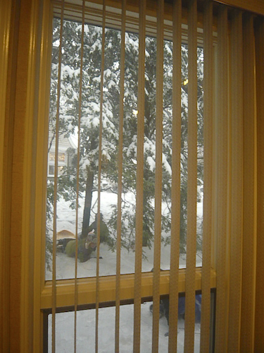 c0106317_22352461.jpg
