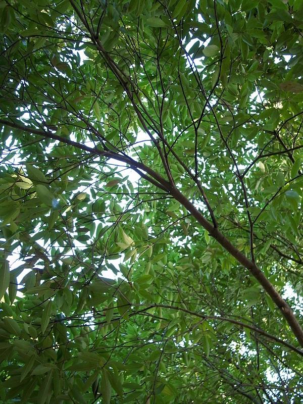 e0135024_9144672.jpg