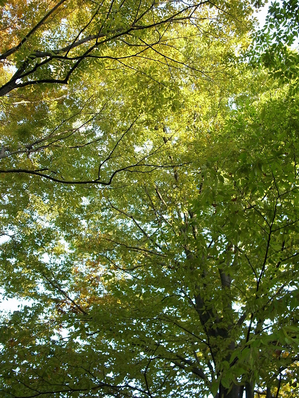 e0135024_9151632.jpg