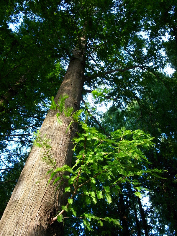 e0135024_9155886.jpg