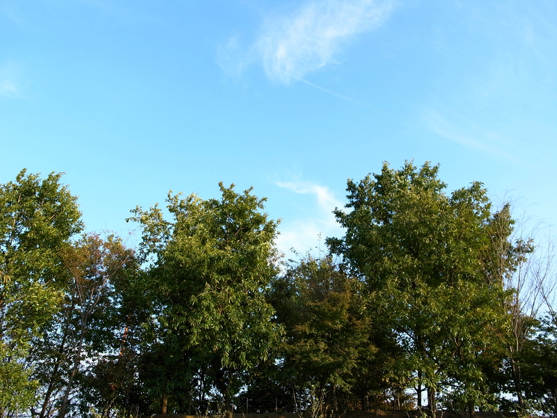 e0135024_9161544.jpg