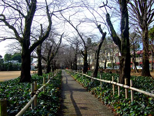 f0147025_2302770.jpg