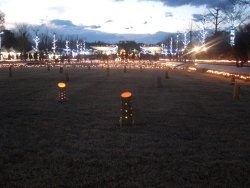 f0065126_2152581.jpg