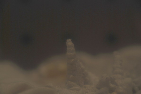 e0116532_2356129.jpg