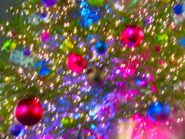 a0095337_21421414.jpg