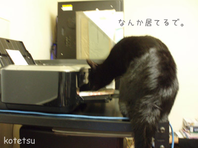 c0132438_2301787.jpg