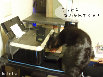 c0132438_2303718.jpg