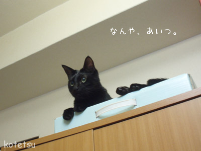 c0132438_2312451.jpg