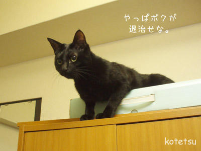 c0132438_2321688.jpg