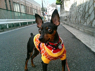 e0150843_16105053.jpg