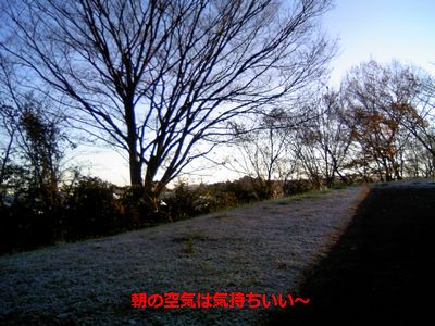 b0148945_18594512.jpg