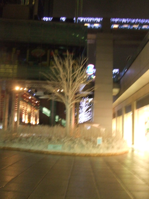 c0071545_21143020.jpg
