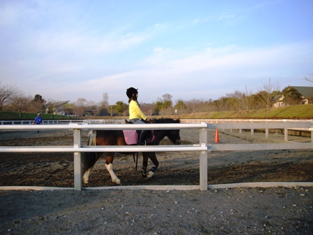 c0122445_1412976.jpg