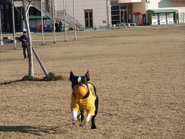 e0126046_184269.jpg