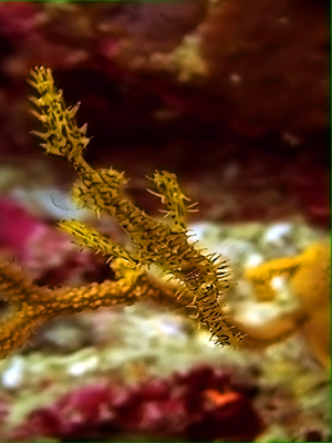 e0027447_20225344.jpg
