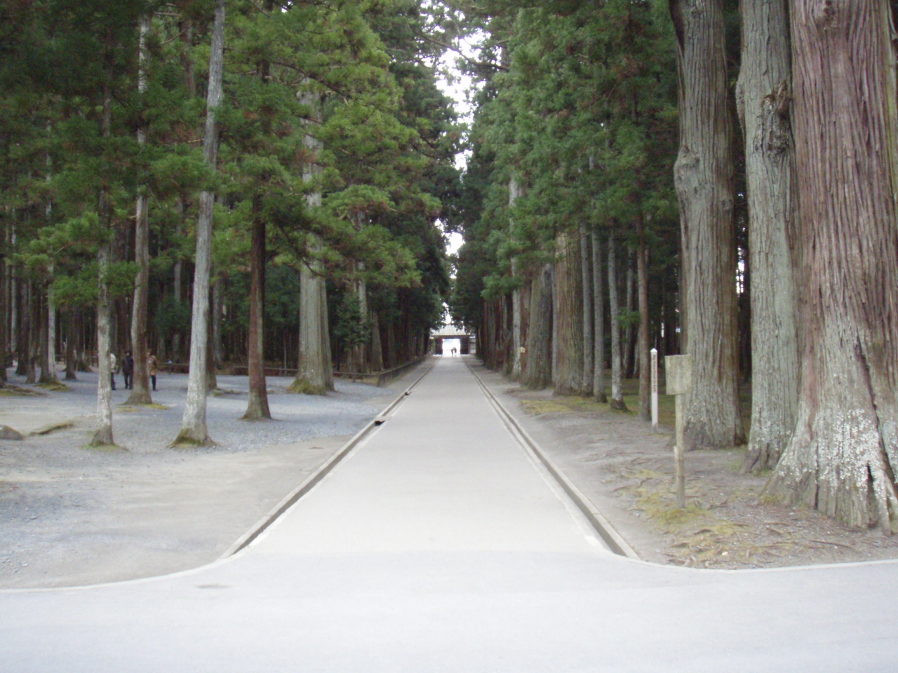 e0107449_4374466.jpg