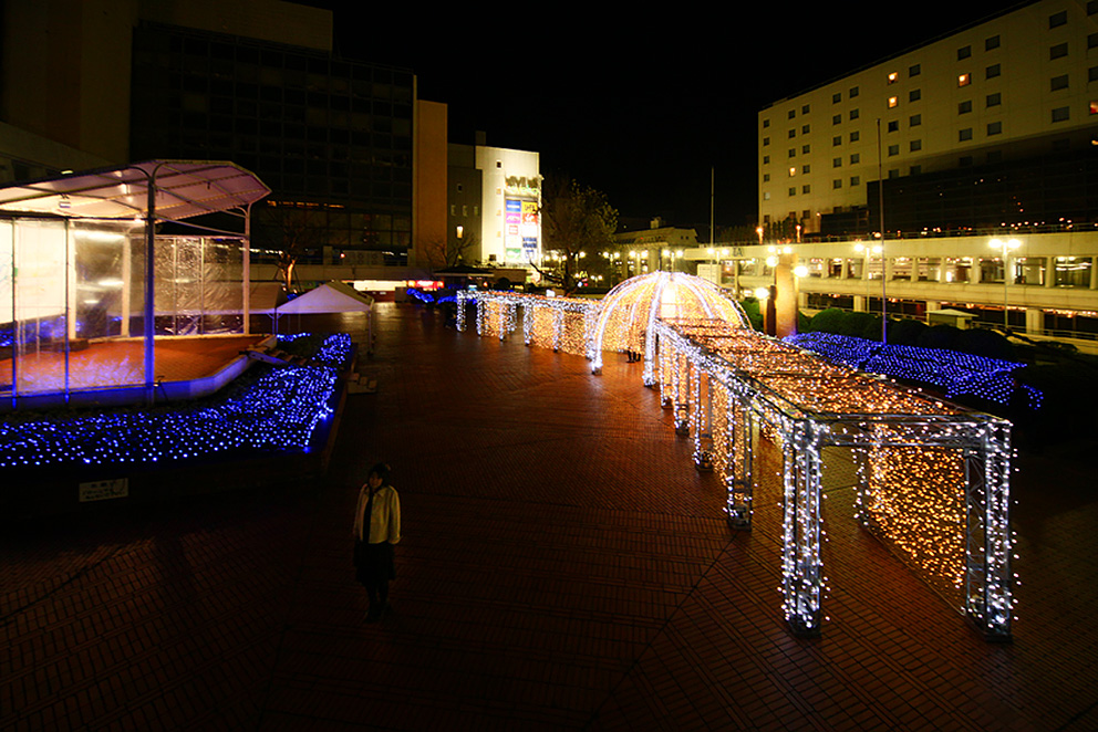 b0050151_1185822.jpg
