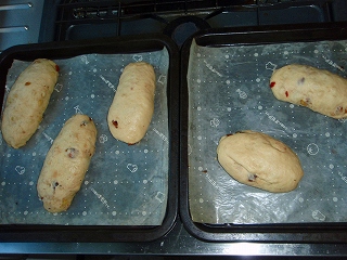 e0004756_20305793.jpg