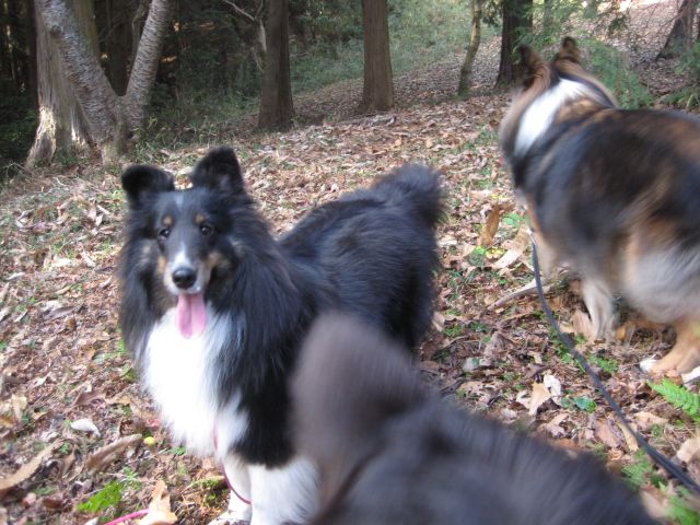 f0130760_19232321.jpg