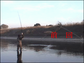f0084561_14405411.gif