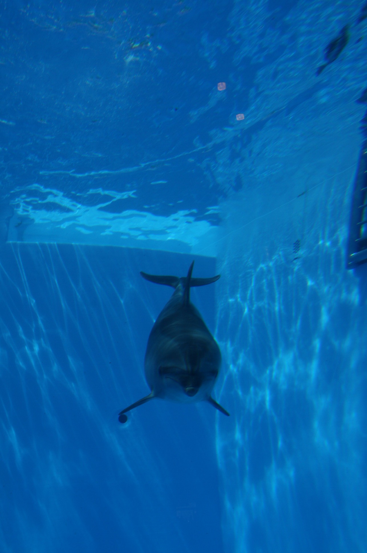 c0164364_2257275.jpg