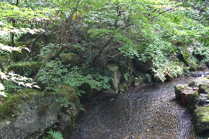 b0079965_7134099.jpg