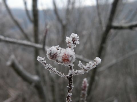 c0042869_14105590.jpg