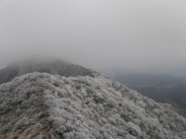 c0042869_14122539.jpg