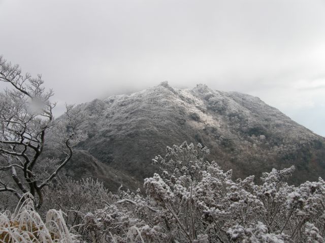 c0042869_14124196.jpg